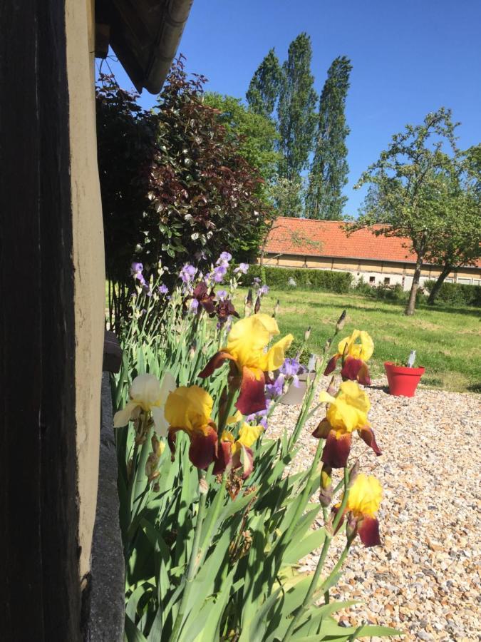 Charmante Maison Entre Les Pommiers Hébergement de vacances *